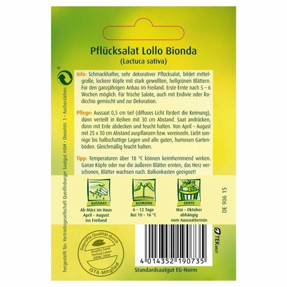 Lehtsalat, Lollo bionda-0