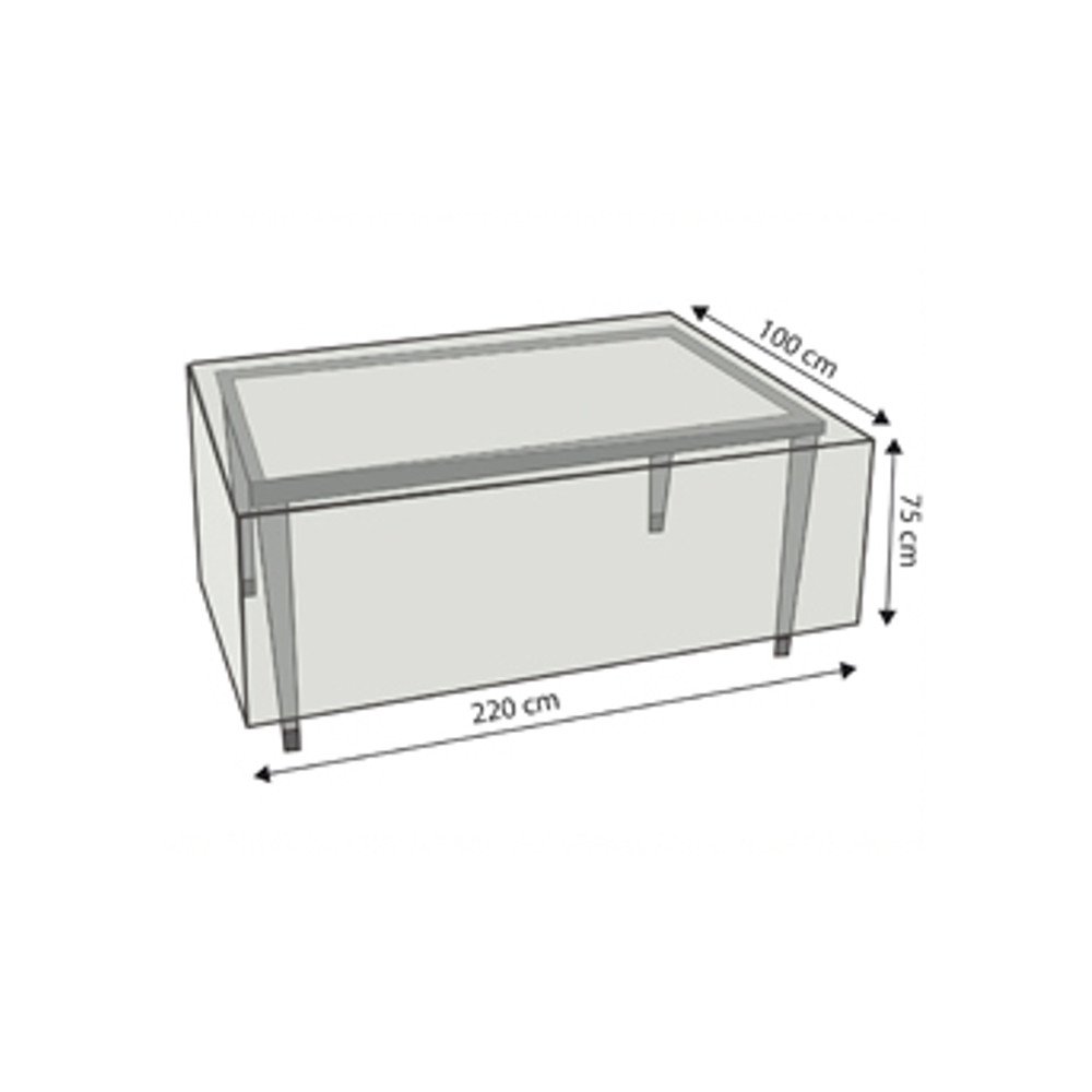 Läbipaistev kaitsekate ristkülikukujulisele lauale, u.220x100x75-0