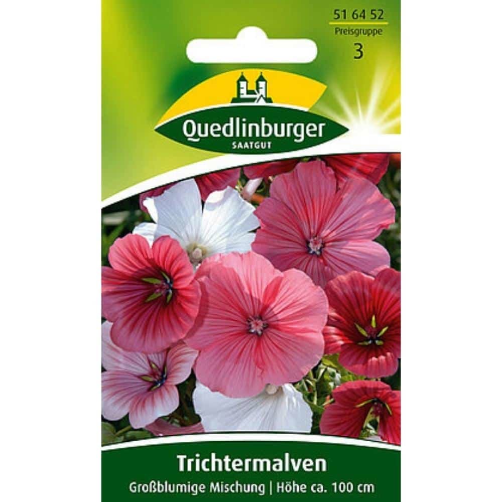 Trichtermallow, suurlilleline segu