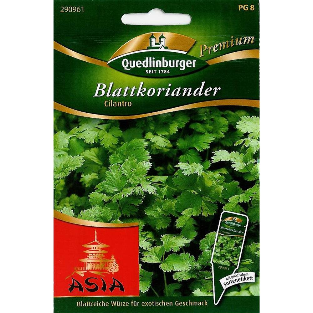 Lehtkoriander, Cilantro