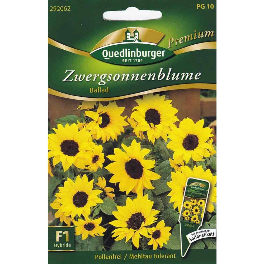 Tillisunflowerid, Ballad F1