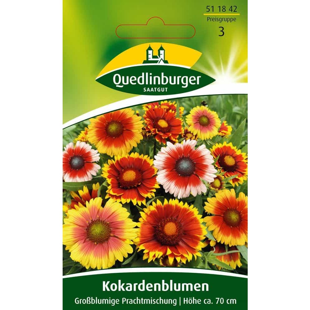 Kokardenblume, Suureõieline kaunissegu